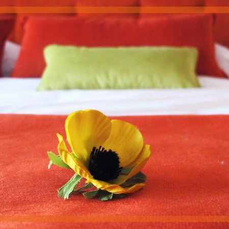 Medrano Kind Apartment บัวโนสไอเรส ภายนอก รูปภาพ